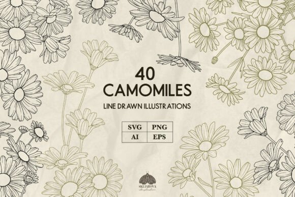 Camomile Line Art Graphics for Branding & Packaging
